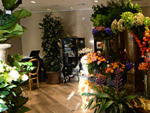 view of our flower shop in Monte Carlo