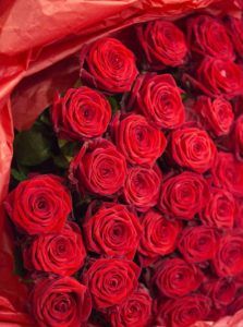 A gigantic bouquet of red roses to offer