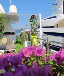 Maison Narmino florishes your boats and Yachts