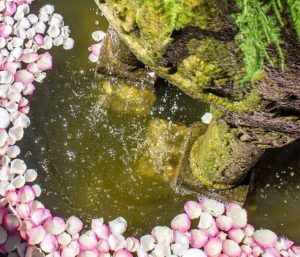 We are flowering weddings on the Côte d'Azur and in Monaco