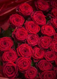 Red roses flower bouquets for Valentine's Day