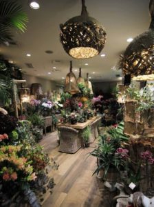 An overview of the new decor at our Narmino flower store