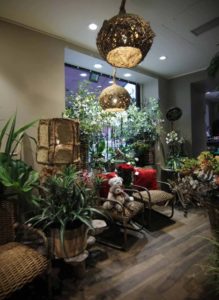 Furniture, plants and bouquets