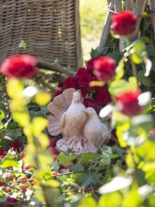 Lovers' Day in Monaco